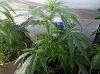 2012-04-02_22-07-08_900.jpg 2012-04-02_22-07-08_900.jpg