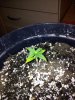 20120403_152641.jpg