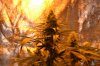 grow 2 001.jpg