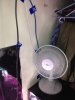 IMG_0257.jpg