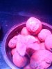 IMG_20120401_171854.jpg IMG_20120401_171854.jpg