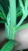 IMAG0273.jpg