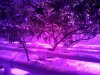 20120401_122900.jpg.jpg