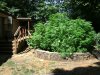 DSC00485.JPG