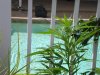 DSCN0005.jpg