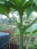 DSC00771.jpg