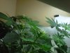 San Diego-20120401-00079.jpg