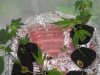 DSCN4519.jpg DSCN4519.jpg