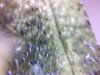 20120408024228.jpg 20120408024228.jpg