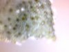 20120408024256.jpg 20120408024256.jpg