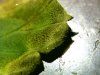 20120408024623.jpg 20120408024623.jpg
