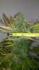 2012-04-08_12-23-19_879.jpg 2012-04-08_12-23-19_879.jpg