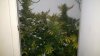 2012-04-08_12-12-32_186.jpg 2012-04-08_12-12-32_186.jpg