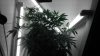 IMAG0283.jpg