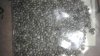 IMAG0049.jpg