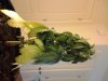 2012-04-09 15.57.04.jpg