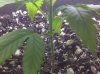 IMG-20120410-00974.jpg