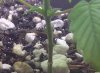 IMG-20120410-00973.jpg