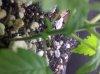 IMG-20120410-00972.jpg