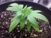 IMG-20120410-00971.jpg