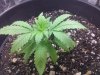 IMG-20120410-00969.jpg