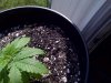 IMG-20120410-00968.jpg