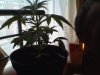 Snapshot_20120411.JPG
