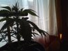 Snapshot_20120411_1.JPG