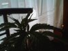 Snapshot_20120411_2.JPG