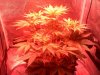 20120303072832.jpg 20120303072832.jpg