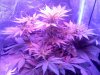 20120303072854.jpg 20120303072854.jpg