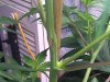 WP_000204.jpg