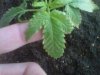 IMG-20120414-00336.jpg