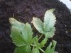 IMG-20120414-00335.jpg