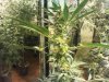 2012-04-14 09.51.35.jpg