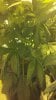 2012-04-14_21-35-12_178.jpg 2012-04-14_21-35-12_178.jpg
