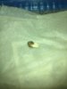 IMG_20120415_091308.jpg