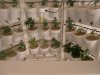 4 2012 004.jpg