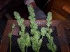 100_3021.jpg