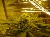 2012-04-10 12.07.57.jpg