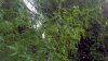 2012-04-17_14-19-14_167.jpg
