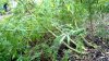 2012-04-17_14-07-00_956.jpg