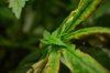 resized_DSC_0832.jpg