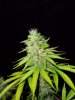April 17 2012 032.jpg