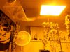 DSCN4005.jpg