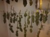 RRF #4 - Hanging Up.jpg RRF #4 - Hanging Up.jpg