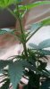 2012-04-18_18-03-55_782.jpg