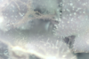 Picture 4.png