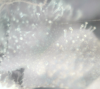 Picture 5.png