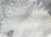 Picture 6.png